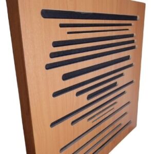 ultrasonic akustik